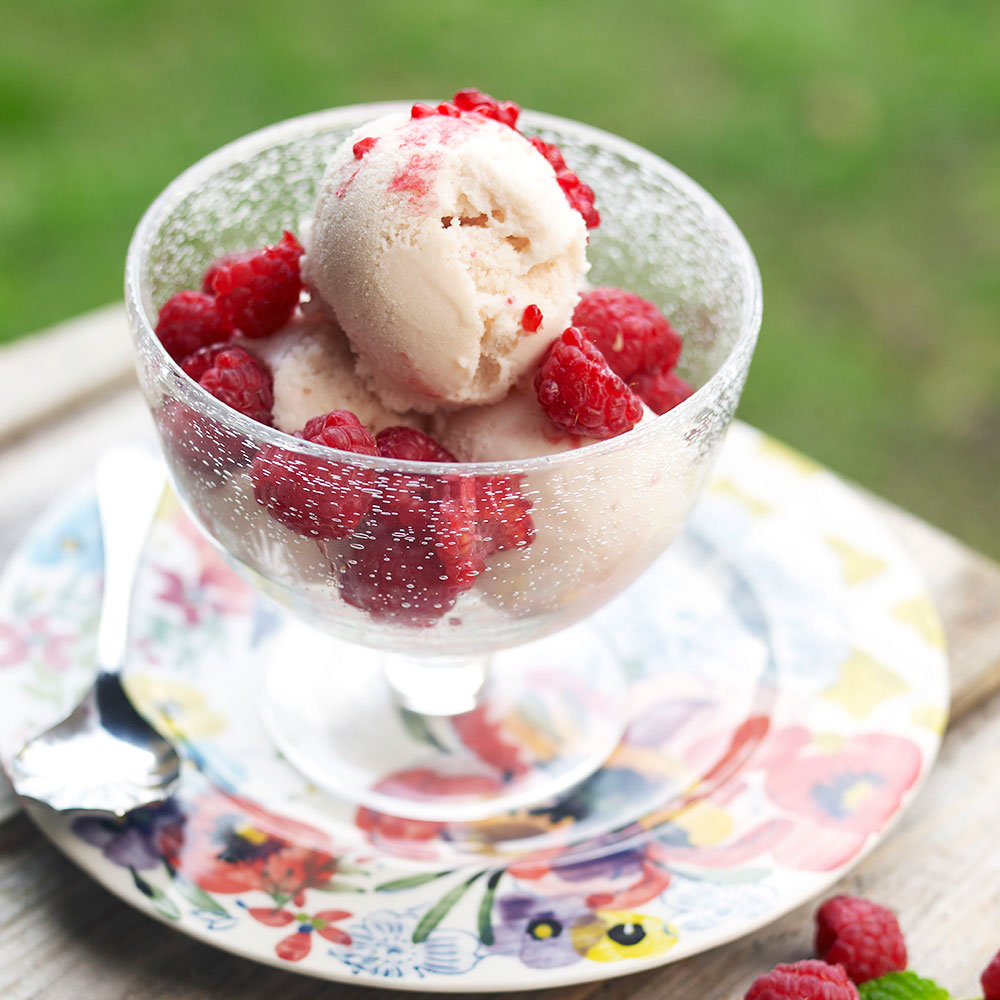 Quick And Easy Raspberry Frozen Yoghurt Recipe