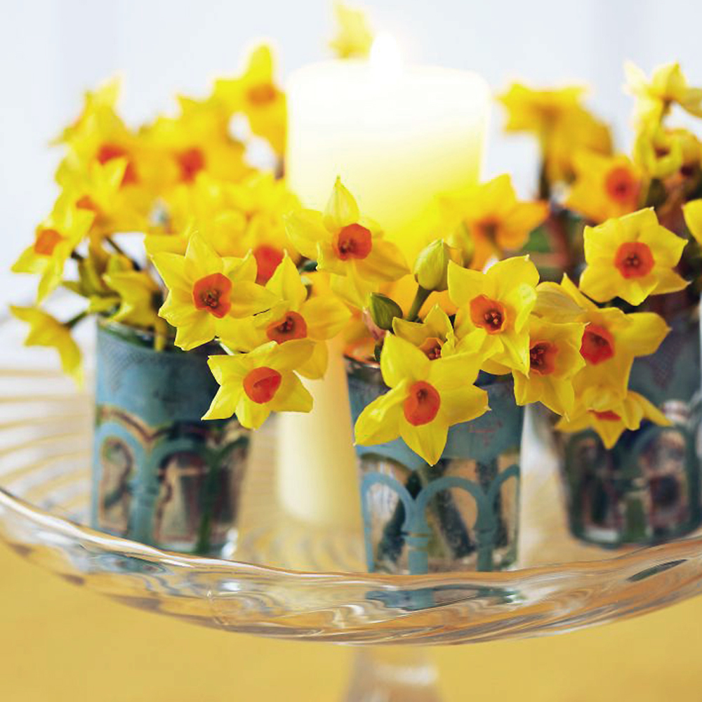 Get Creative With Spring Flowers Pretty Daffodils Display