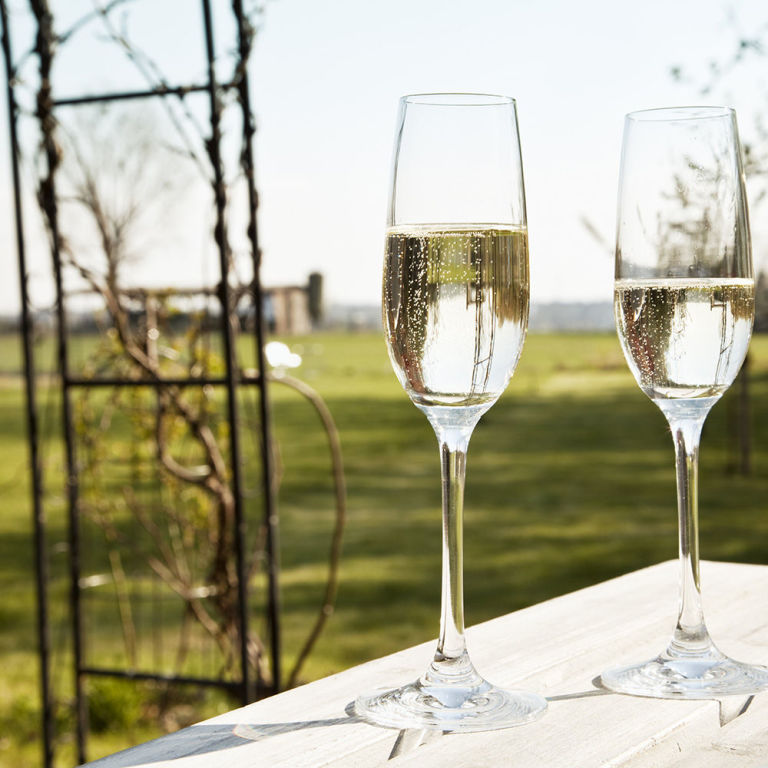 Skinny Rose The New Low Alcohol LowCalorie Wine