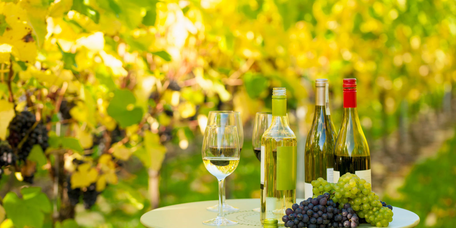Best English Wine Tours Best BritishVineyards To Visit